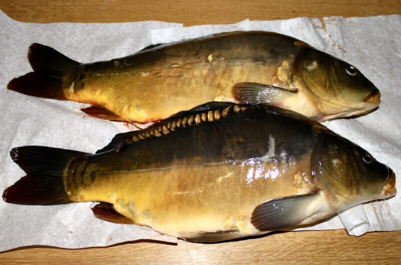 Praktyczne porady, aby Twój karp wigilijny smakował wybornie.