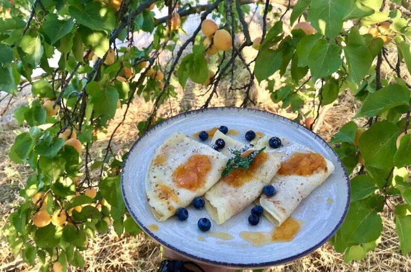 Puszyste naleśniki z morelami, a konkretnie wypełnione rosterem morelowym, a następnie złożone w kopertę i podgrzane.