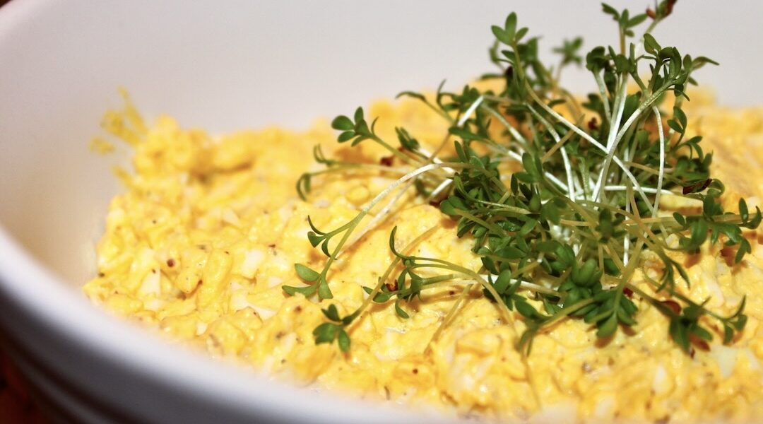 Pasta jajeczna do chleba przygotowana z gotowanych jajek, a konkretnie z roztartych żółtek jajek z dodatkiem majonezu, śmietany i musztardy z pokrojonymi białkami jajek.