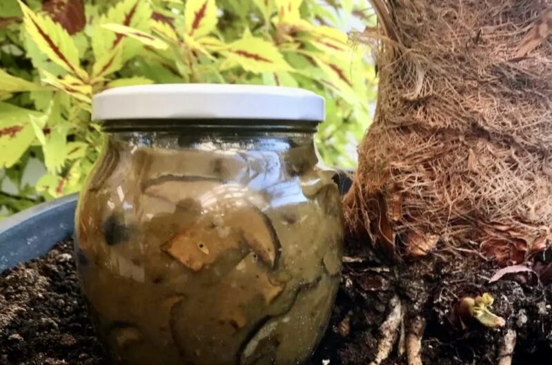 Sos borowikowy to aromatyczny i pyszny sos ze świeżych borowików krojonych w duże kawałki i smażonych na maśle, zamknięty w słoiki i pasteryzowany na zimę.