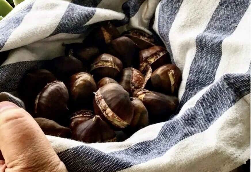 Kasztany jadalne moczone w wodzie, a następnie w odpowiedni sposób nacinane i pieczone w piekarniku.