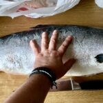 Łosoś jest łatwy do filetowania. Przekonaj się, jak duże uzyskasz korzyści umiejętnie dzieląc Twojego łososia.