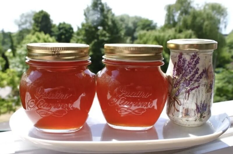 Syrop z młodych pędów sosny, czyli jej corocznych przyrostów, przyrządzony z dodatkiem cukru trzcinowego.