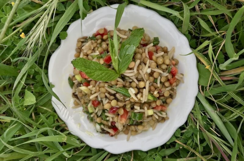 Kolorowa sałatka z soczewicy z ryżem, papryką czerwoną z dodatkiem świeżej mięty
