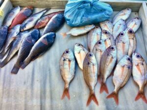 małe świeże ryby na blacie