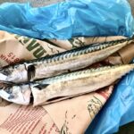 Świeże ryby przyniesione z targu, błyszczące i dobrze nawilżone.