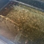 jak zrobić sos do gęsi