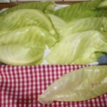 ugotowane liści białej kapusty leżą na ściereczce