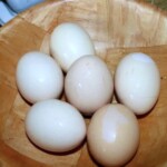 ugotowane jajka w skorupkach