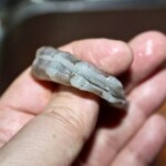 jajka z krewetkami po norwesku