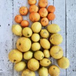 świeże cytryny i mandarynki zaraz po zbiorach