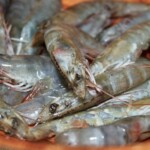 surowe krewetki