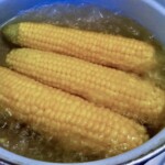 w garnku gotują się kolby kukurydzy