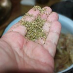 suszone oregano na dłoni
