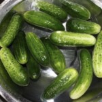 ogórki gruntowe moczą się w wodzie w metalowej misce