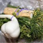 przyprawy do przygotowywania ogórków małosolnych