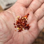 suszone płatki chilli na dłoni