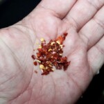 płatki chilli na otwartej dłoni