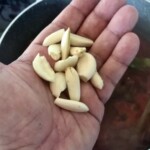 obrane ząbki czosnku na dłoni