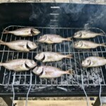 Rybki z grilla przekąska