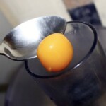 żółtko jajka