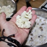 różyczka kalafiora na otwartej dłoni