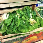 blitva świeża burak liściasty