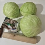 Kapusta kiszona domowa składniki