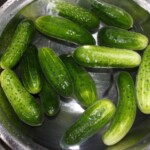 świeże ogórki moczą się w misce w wodzie