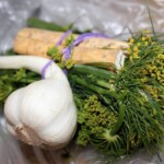 Ogórki kiszone domowe składniki do przygotowania