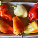 papryka faszerowana kurczakiem i ryżem