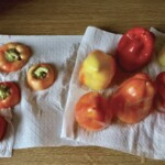 Papryka faszerowana kurczakiem i ryżem w sosie