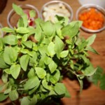 świeża bazylia