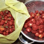 świeże truskawki na durszlaku