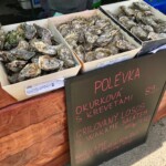 Kulatak targ w Pradze