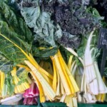 Kulatak targ w Pradze