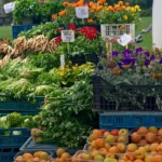 Kulatak targ w Pradze