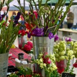 Kulatak targ w Pradze