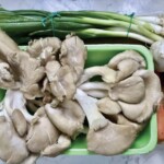 Boczniaki smażone na sposób chiński