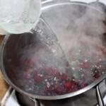 Botwinka wiosenna zupa z młodych buraków