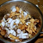 pokrojone grzyby leśne