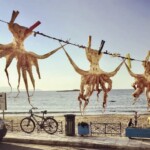 ośmiornice susza się na słońcu