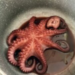 ugotowana ośmiornica w garnku