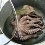 ośmiornica w garnku