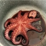 ośmiornica ugotowana