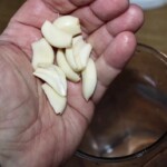 obrane ząbki czosnku na dłoni