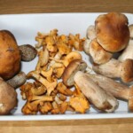 grzyby leśne w misce