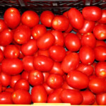dojrzałe pomidory w skrzynce