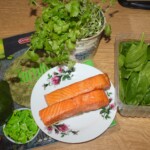 Wrapy z łososiem wędzonym awokado i kolendrą