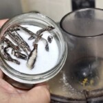 cukier z wanilią w słoiku